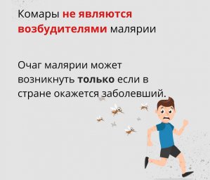 Малярия 2 Малярия 2
