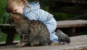 Как не допустить токсокароза у детей? 0 Как не допустить токсокароза у детей? 0
